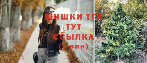 СК Анива