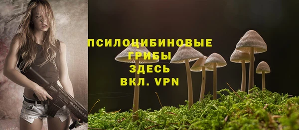 не бодяженный Апатиты