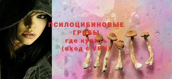 СК Анива