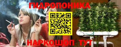 скорость Аргун