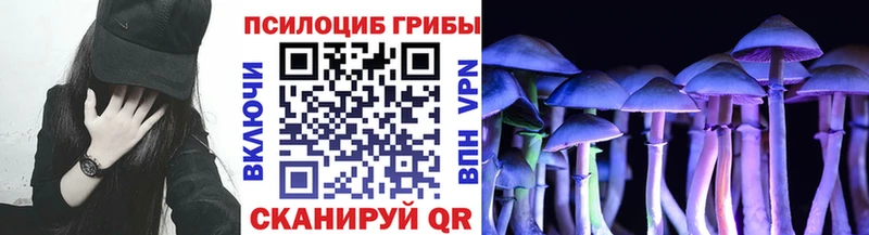 Псилоцибиновые грибы MAGIC MUSHROOMS  ОМГ ОМГ маркетплейс  Апрелевка  продажа наркотиков 