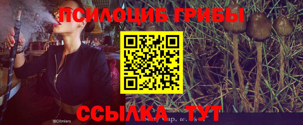 Галлюциногенные грибы Cubensis  Вход с VPN  Апрелевка 