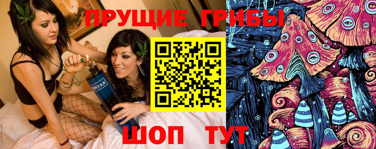 Галлюциногенные грибы Psilocybine cubensis  Апрелевка 