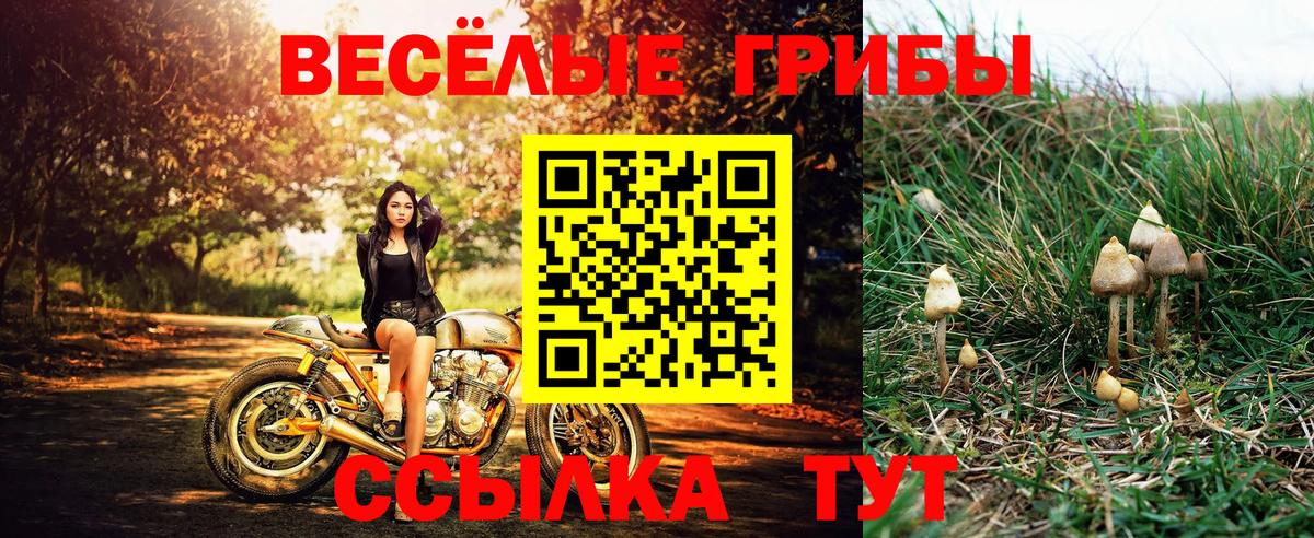 Псилоцибиновые грибы ЛСД Апрелевка